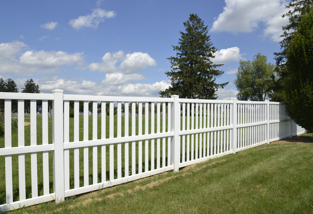 Fence cleaning